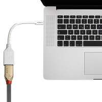 Lindy 41021, 0,15 m, Mini DisplayPort, DisplayPort, Männlich, Weiblich, Weiß