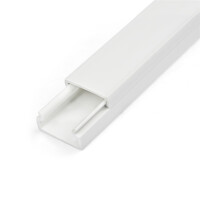 StarTech.com 1m Kabelkanal Selbstklebend, 19x11mm, PVC, Sockelleiste/Wandkabelkanal, bis zu 12 Kabel, UL geprüft, Kabelrinne, Polyvinylchlorid (PVC), Weiß