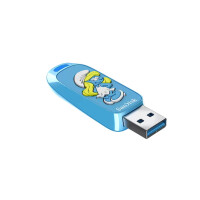 SanDisk SDCZIS-256G-G46, 256 GB, USB Typ-A, 3.2 Gen 1...