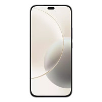Huawei Honor 400 Lite, 17 cm (6.7"), 8 GB, 256 GB, 108 MP, MagicOS 9.0, Grau