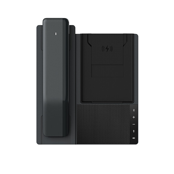 Fanvil DB20-H, Universal, Schwarz