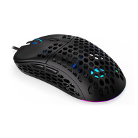 ENDORFY LIX, Beidhändig, Optisch, USB Typ-C, 8000...