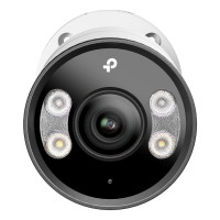 TP-LINK INSIGHT S385, IP-Sicherheitskamera, Draußen, Kabelgebunden, 85 m, 120 dB, Wand