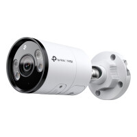 TP-LINK INSIGHT S385, IP-Sicherheitskamera, Draußen, Kabelgebunden, 85 m, 120 dB, Wand