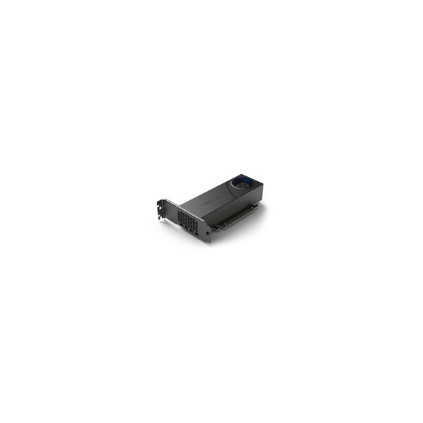 Intel Arc Pro A50 Graphics bulk - Grafikkarte - PCI-Express