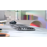 Logitech 920-010754, Kabellos, RF Wireless + Bluetooth, Mechanischer Switch, QWERTY, LED, Graphit, Grau
