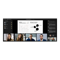 Samsung LH105QPD5BGXEN, 2,67 m (105"), 5120 x 2160...