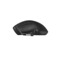 Gembird MUSW-6B-02, rechts, Optisch, RF Wireless, 1600 DPI, Schwarz