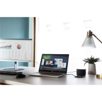 HP USB-Fingerprint-Maus, Beidhändig, USB Typ-A, Schwarz