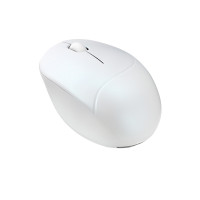 ASUS Fragrance Mouse MD101, Beidhändig, Optisch, RF...