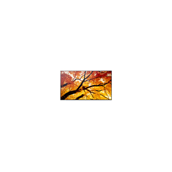 NEC MultiSync M552