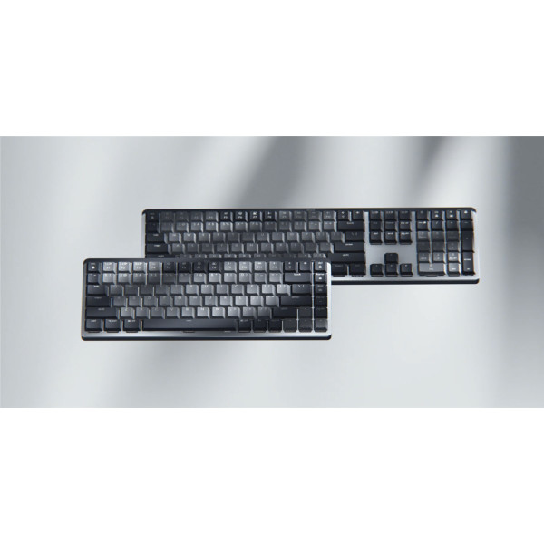 Logitech 920-010758, Kabellos, RF Wireless + Bluetooth, Mechanischer Switch, QWERTY, LED, Graphit, Grau