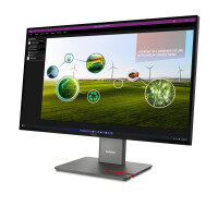 Lenovo ThinkVision P27Q-40, 68,6 cm (27"), 2560 x 1440 Pixel, Quad HD, LED, 6 ms, Schwarz