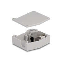 Delock Hutschienenadapter mit Keystone Modul RJ45 Buchse zu RJ45 Buchse Cat.6A, Flach, Grau, RJ-45, RJ-45, Weiblich, Weiblich