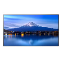 NEC SHARP/NEC MultiSync P656, Kiosk-Design, 163,8 cm...