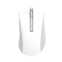 ASUS MD102 Maus weiss Silent