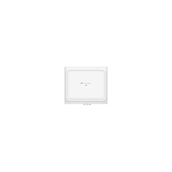 TP-LINK Omada EAP650 D120-Outdoor V1 - Accesspoint - 1GbE