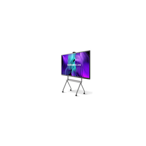 Hisense 65MR6DE - 165,1 cm (65") - 350 cd/m² - 1,07 Milliarden Farben - 3840 x 2160 Pixel - 4K Ultra HD - Direct-LED