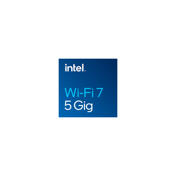 Intel Wi-Fi 7 BE200 - Netzwerkadapter - M.2 2230 - Netzwerkkarte - WLAN