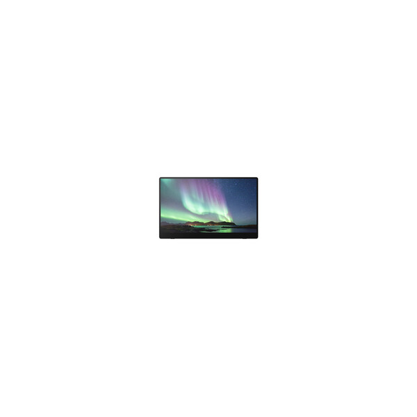 Fujitsu Ricoh 150BW Mobiler Monitor - 39,6 cm (15.6") - LED - 1920 x 1080 Pixel - 16:9 - 1:100000 - 300 cd/m²