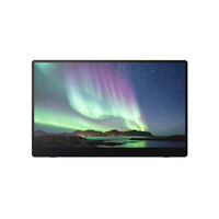 Fujitsu Ricoh 150BW Mobiler Monitor - 39,6 cm...