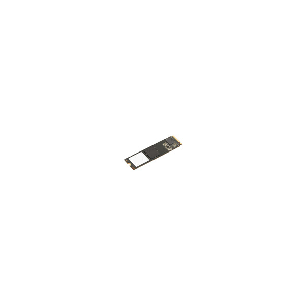 Lenovo 4XB1L68660 - 256 GB - M.2 - 3300 MB/s