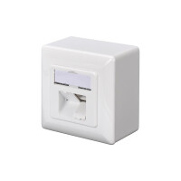 DIGITUS DN-9007-S-1 - CAT 6A Klasse EA Anschlussdose, geschirmt, 2x RJ45 LSA, reinweiß, Aufputz, vertikale Kabelinstall.